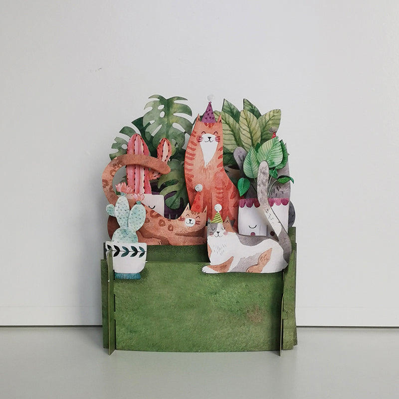 Cats with Hats 3D Pop Up Card - ad&i