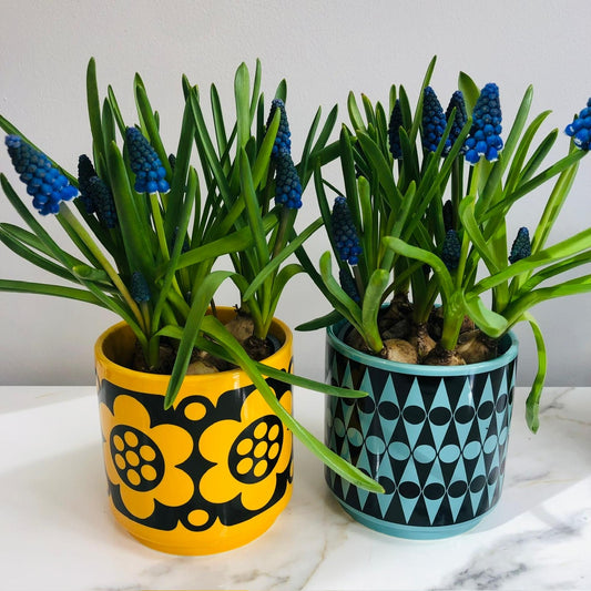 Magpie x Hornsea Yellow Geo Flower Small Plant Pot - ad&i