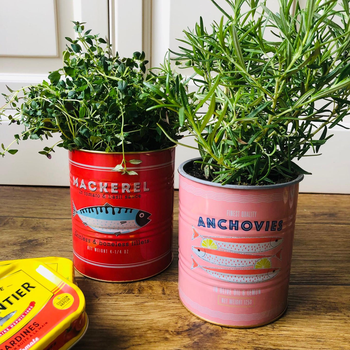 Set Of Two Fish Storage Tins - ad&i
