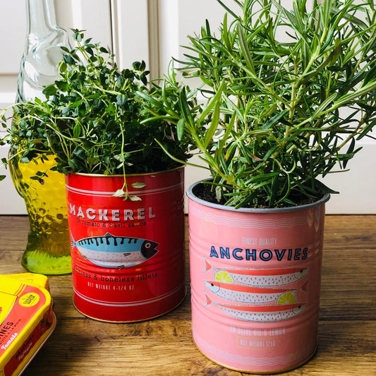 Set Of Two Fish Storage Tins - ad&i