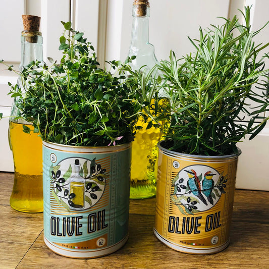 Set Of Two Olive Oil Storage Tins - ad&i