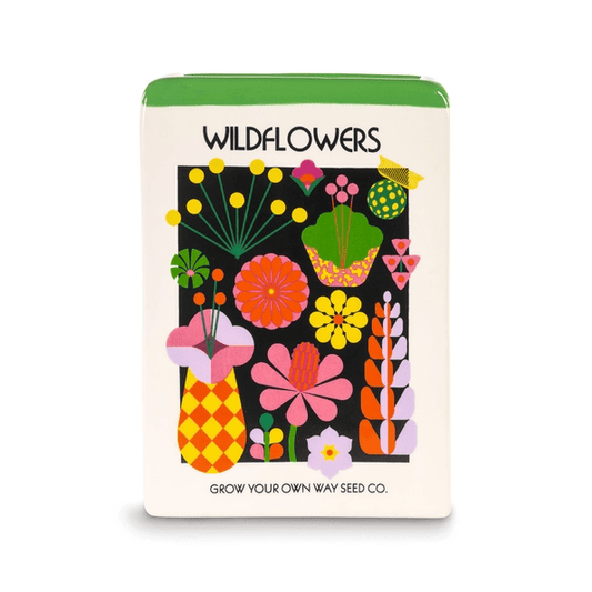 Wildflower Seeds Vase - ad&i