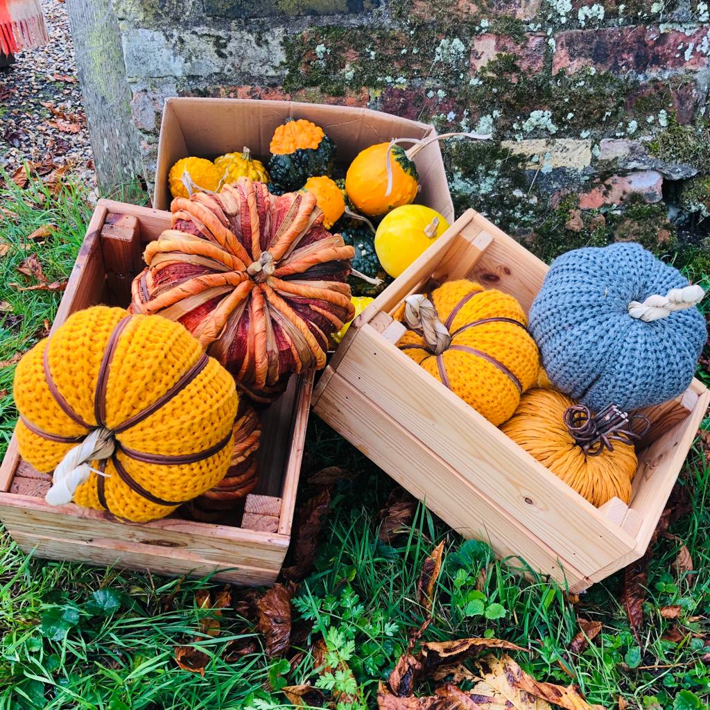 Decorative Wool Pumpkin - ad&i