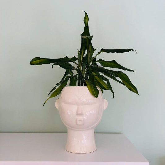 Mask Plant Pot - ad&i