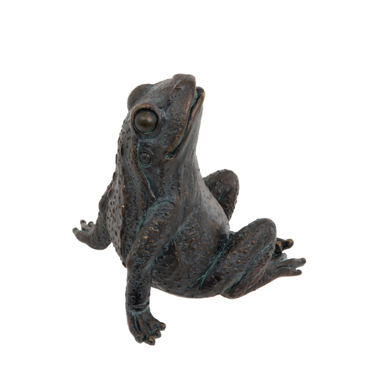 Star Gazing Frog Ornament - ad&i