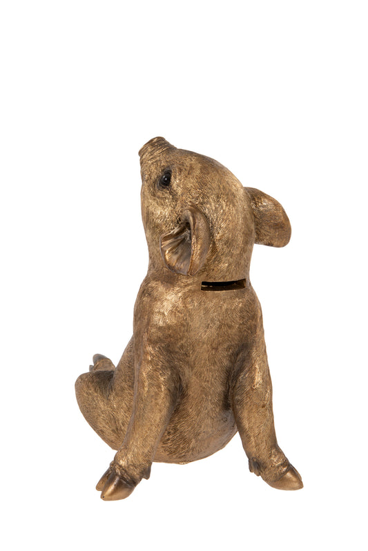 Daydreaming Pig Money Box - ad&i