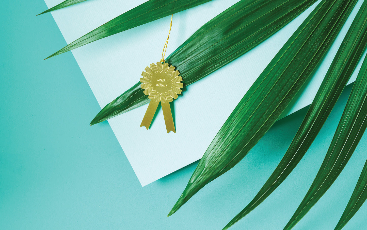 Plant Award Still Alive - ad&i