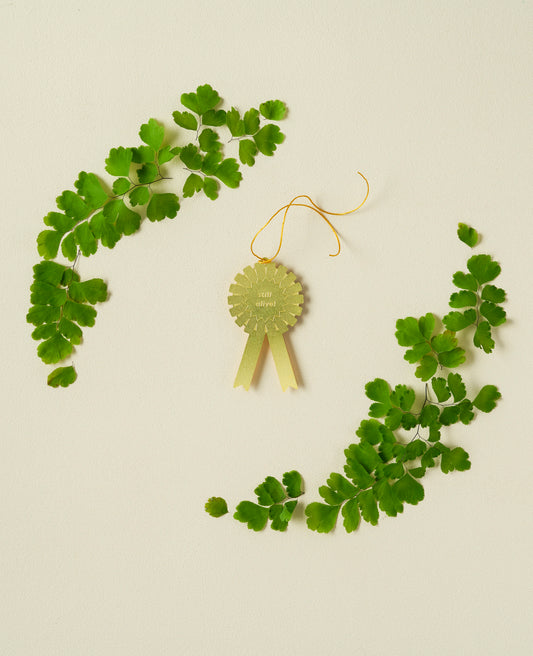 Plant Award Still Alive - ad&i