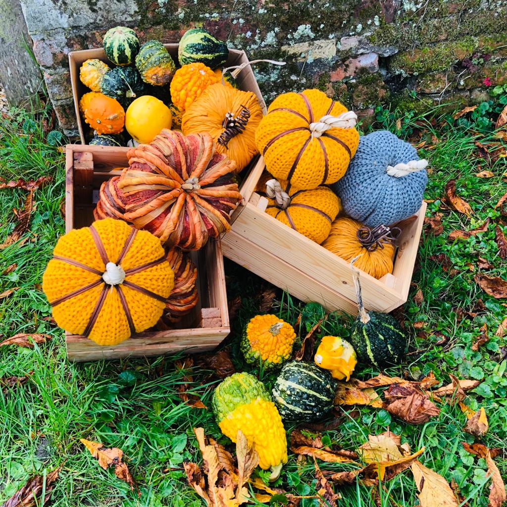 Decorative Wool Pumpkin - ad&i