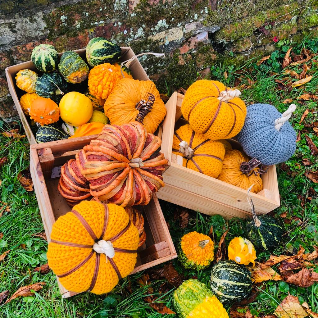 Decorative Wool Pumpkin - ad&i