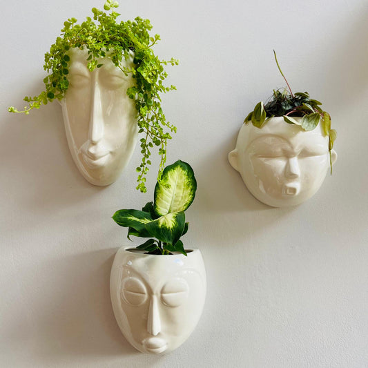 Round Mask Wall Planter-ad&i
