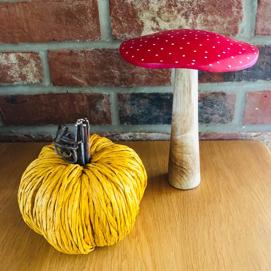 Decorative Orange Straw Pumpkin-ad&i