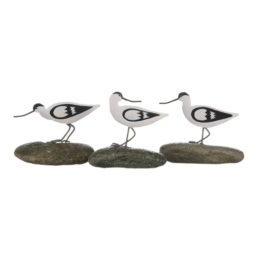 Avocet on a Pebble Decoration