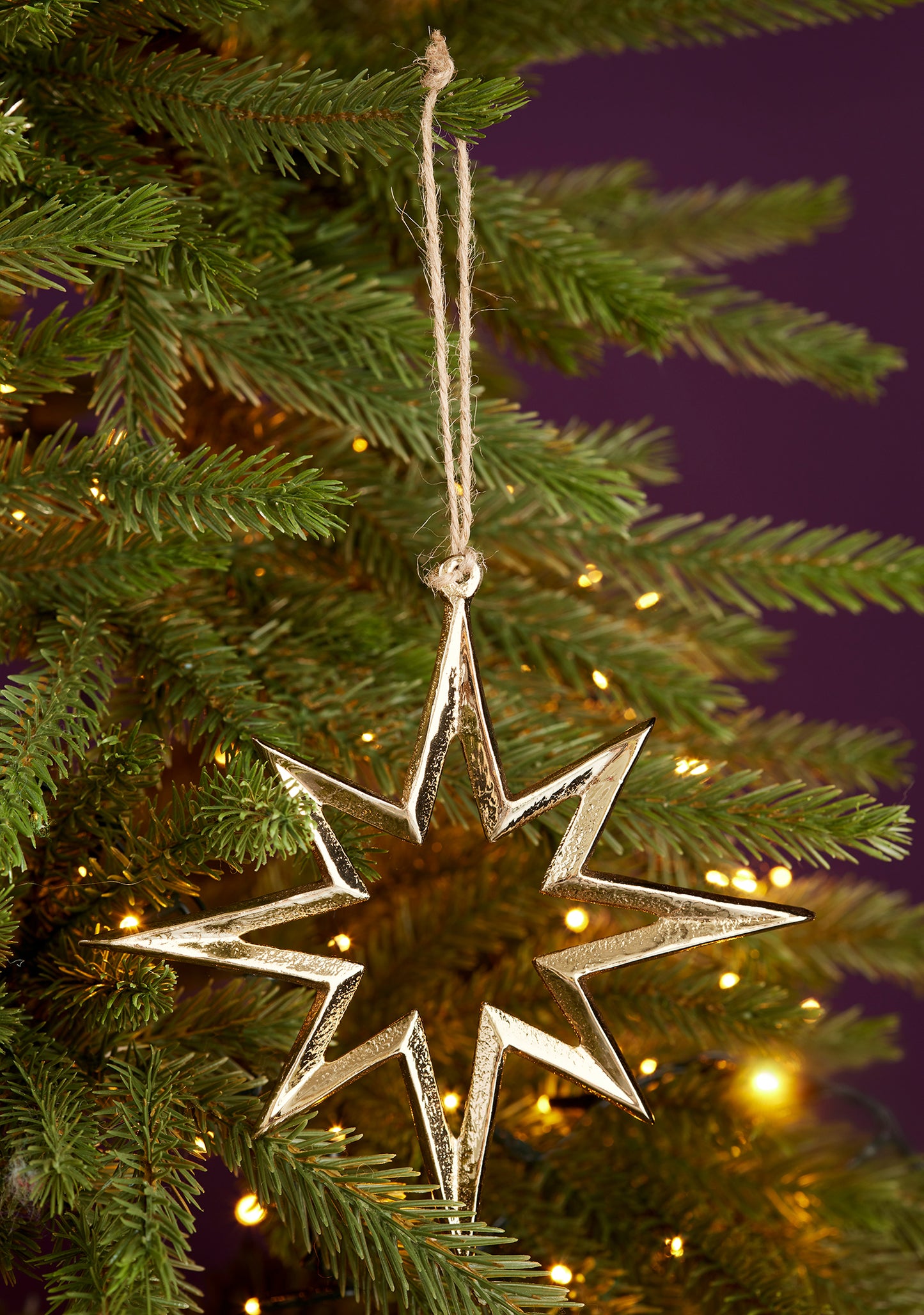 Gold Metal Star Decoration