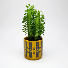 Load image into Gallery viewer, Magpie x Hornsea Geo Chartreuse Medium Plant Pot - ad&amp;i