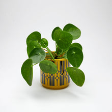 Load image into Gallery viewer, Magpie x Hornsea Geo Chartreuse Medium Plant Pot - ad&amp;i