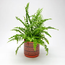 Load image into Gallery viewer, Magpie x Hornsea Repeat Flower Orange Medium Plant Pot - ad&amp;i
