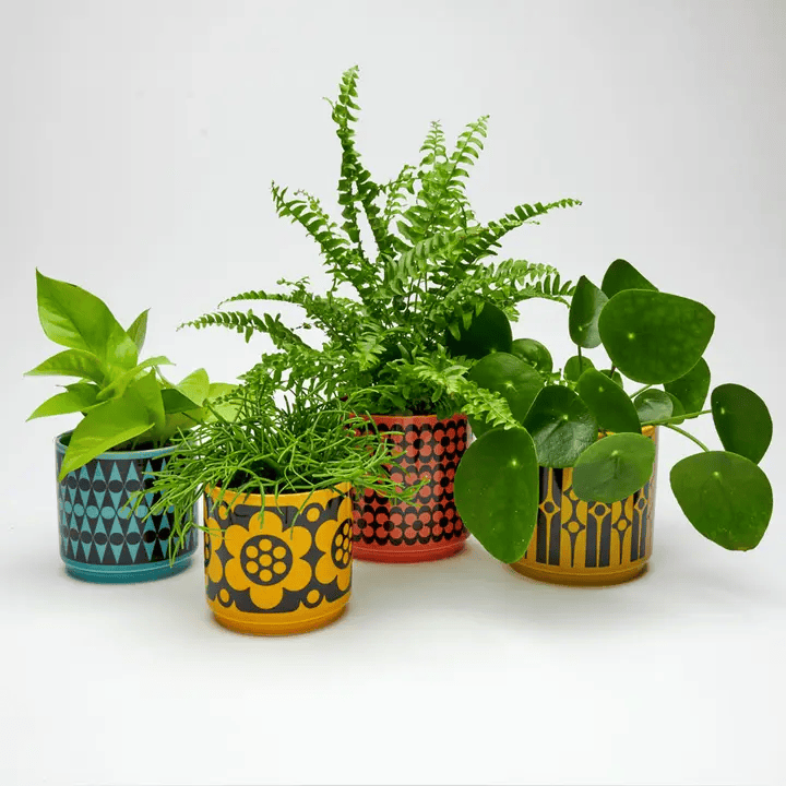 Magpie x Hornsea Yellow Geo Flower Small Plant Pot - ad&i