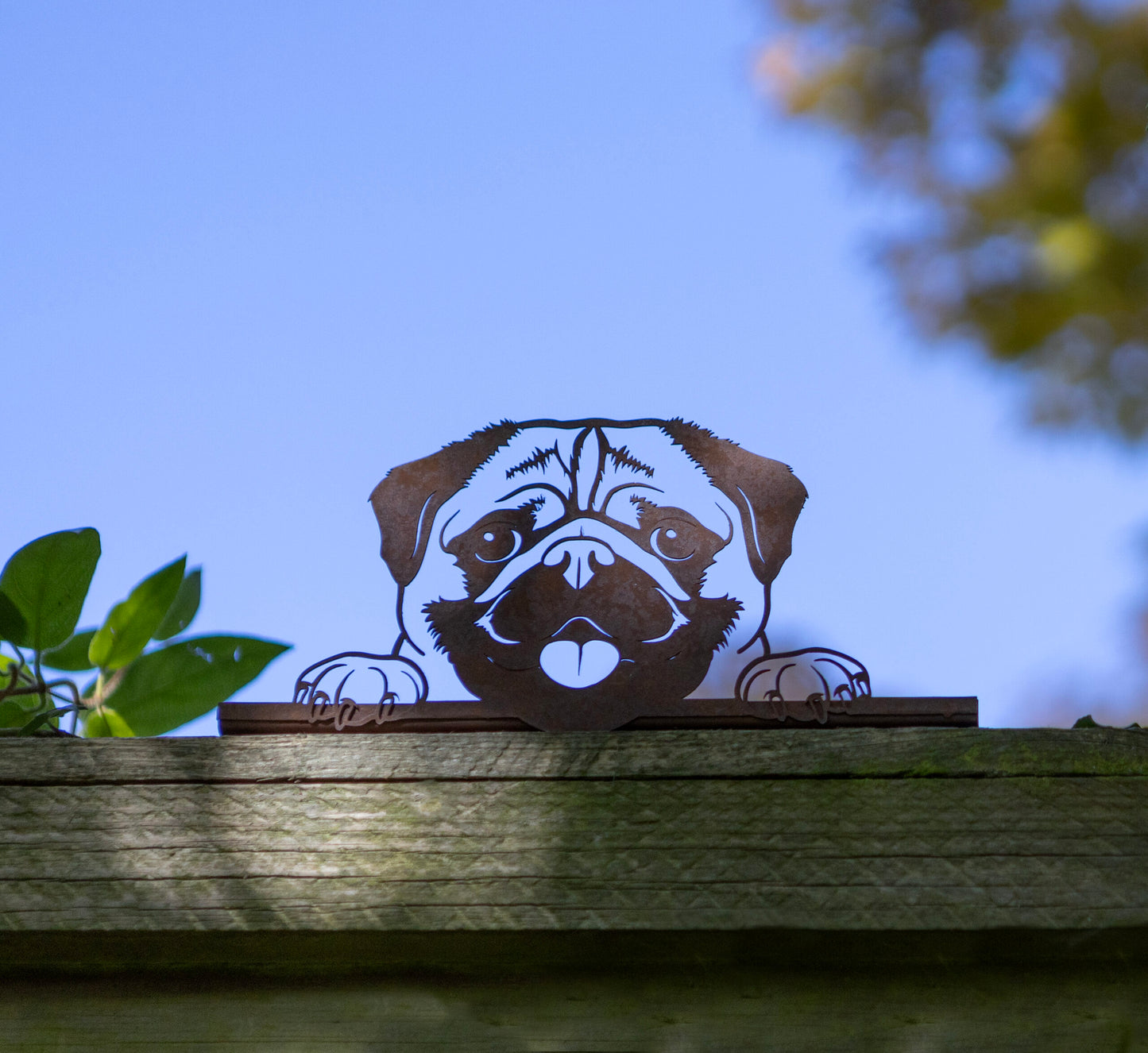 Rusty Metal Peeking Fence Pug