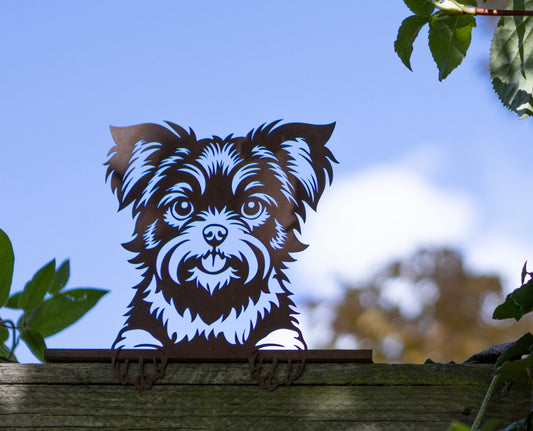 Rusty Metal Peeking Fence Terrier