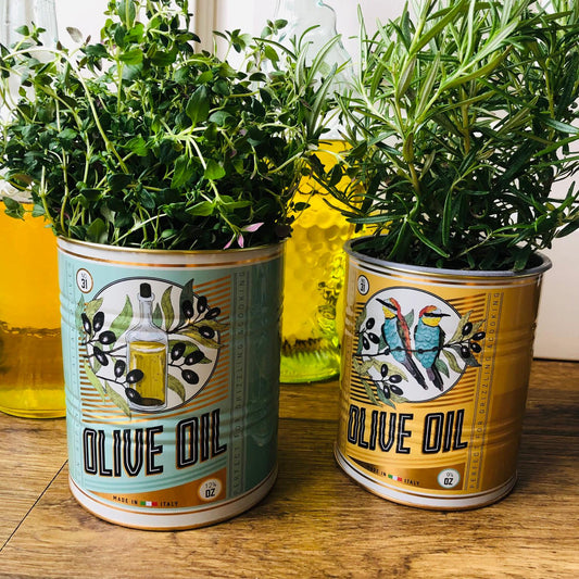 Set Of Two Olive Oil Storage Tins