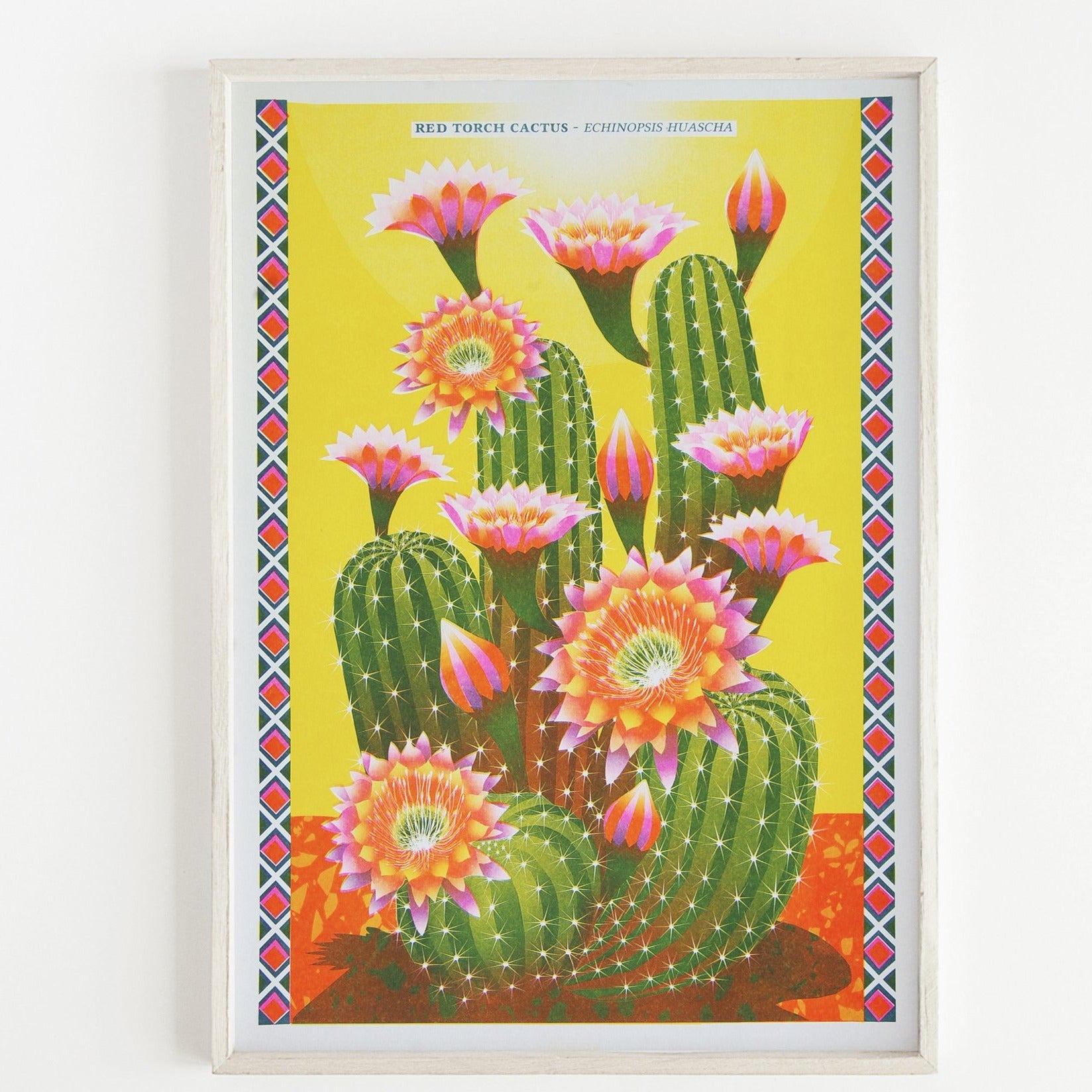 Cactus A3 Risograph Print by Printer Johnson-ad&i