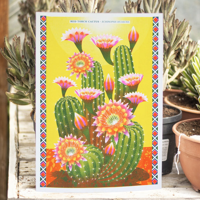 Cactus A3 Risograph Print by Printer Johnson-ad&i