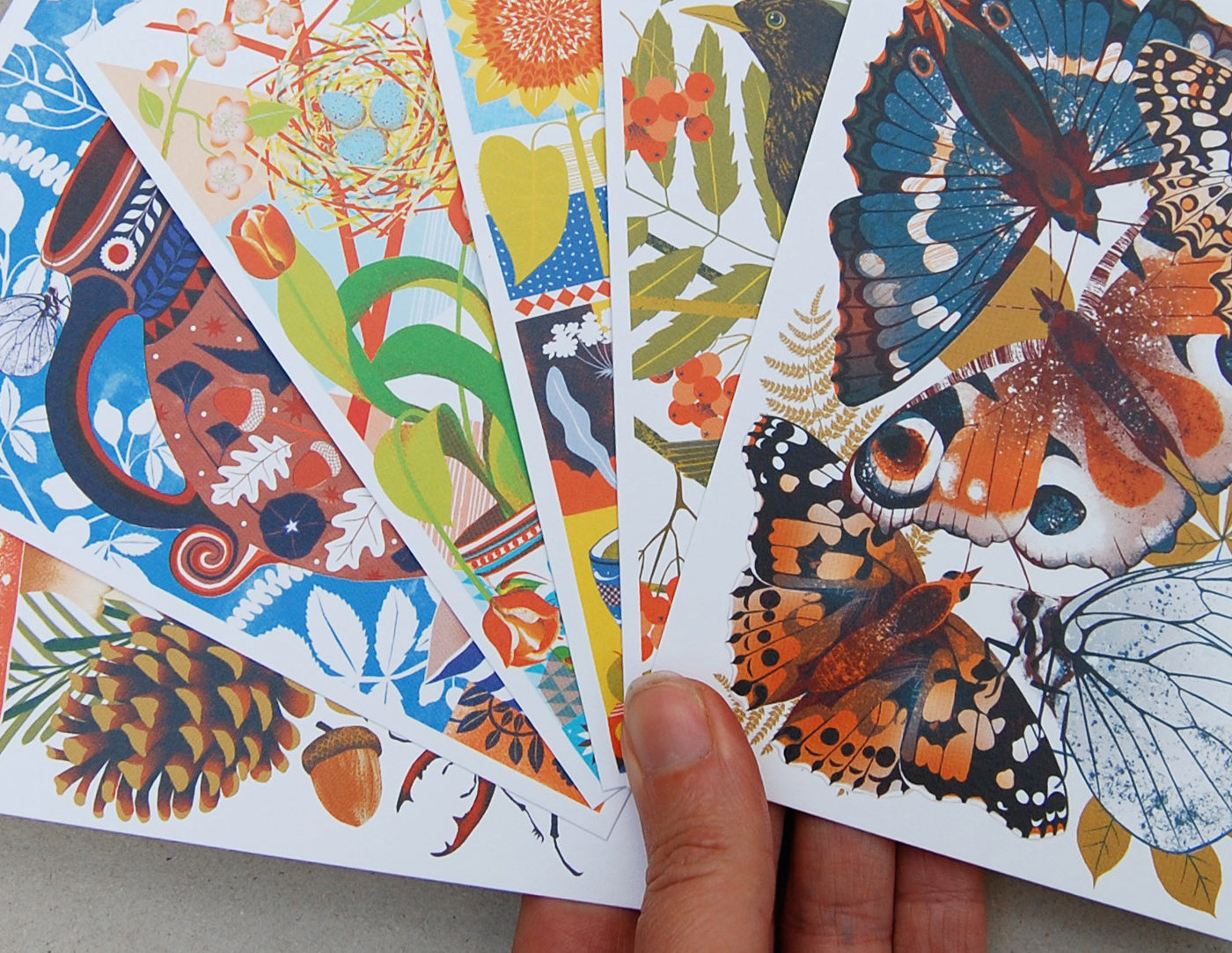British Wildlife A6 Postcard Pack by Printer Johnson-ad&i