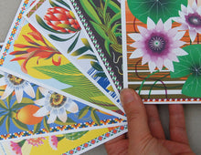 Load image into Gallery viewer, Flowers Of The World A6 Postcard Pack by Printer Johnson-ad&amp;i
