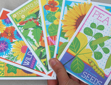 Load image into Gallery viewer, Seed Packets A6 Postcard Pack by Printer Johnson-ad&amp;i