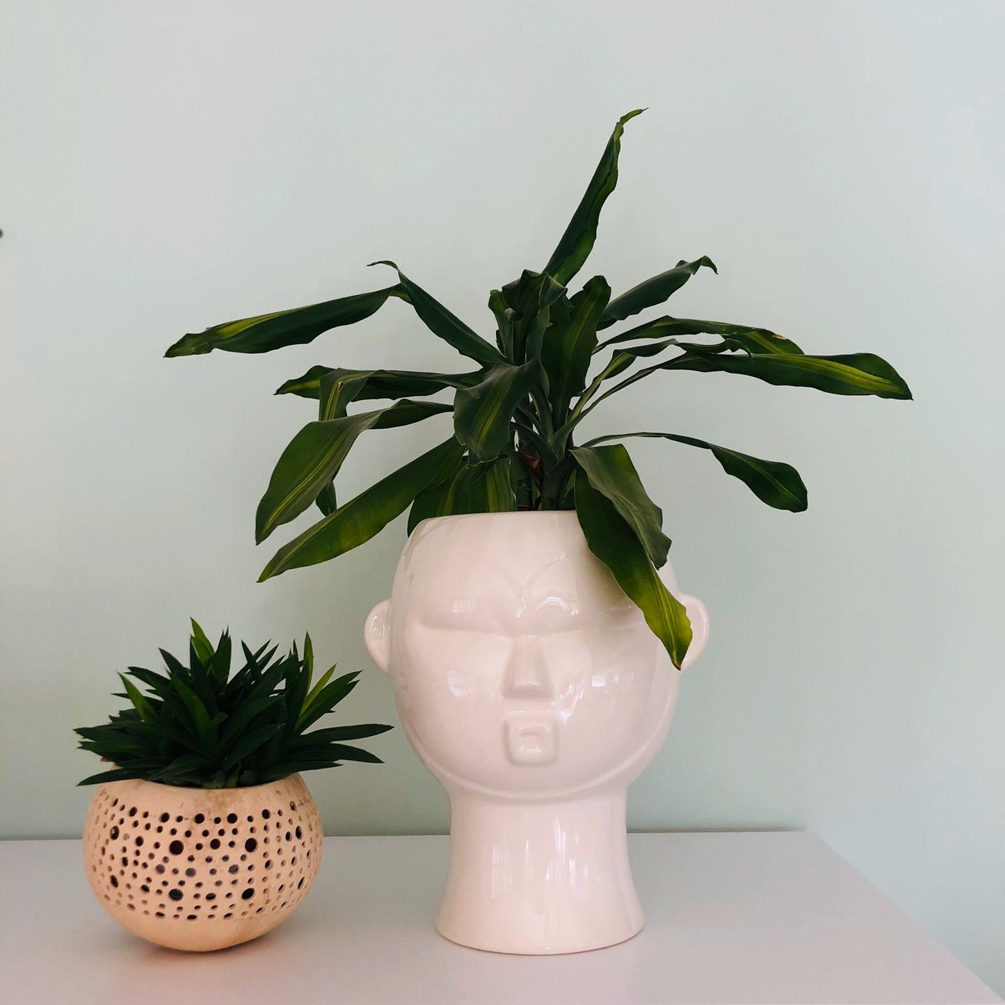 Mask Plant Pot - ad&i
