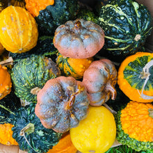 Load image into Gallery viewer, Ceramic Pumpkin - ad&amp;i