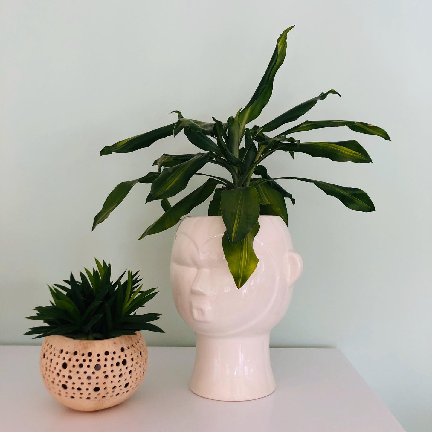 Mask Plant Pot - ad&i