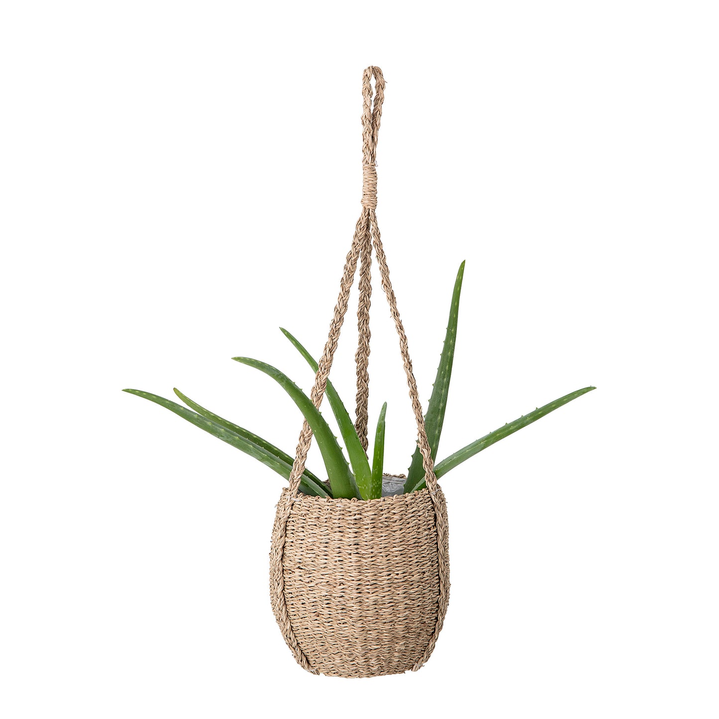 seagrass hanging planter Seagrass Hanging Planter | Plant Pot | Planter | Indoor Plants