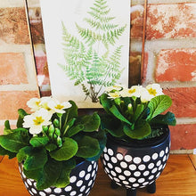 Load image into Gallery viewer, Black and White Spotty Planter on Legs - ad&amp;i