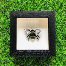 Load image into Gallery viewer, Embroidered and Painted Bumble Bee Framed Wall Art - ad&amp;i
