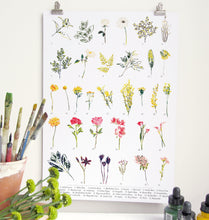 Load image into Gallery viewer, British Wild Flower A3 Digital Print by Abby Cook - ad&amp;i