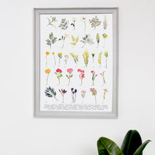 Load image into Gallery viewer, British Wild Flower A3 Digital Print by Abby Cook - ad&amp;i