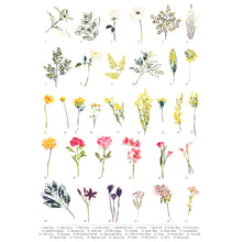 Load image into Gallery viewer, British Wild Flower A3 Digital Print by Abby Cook - ad&amp;i