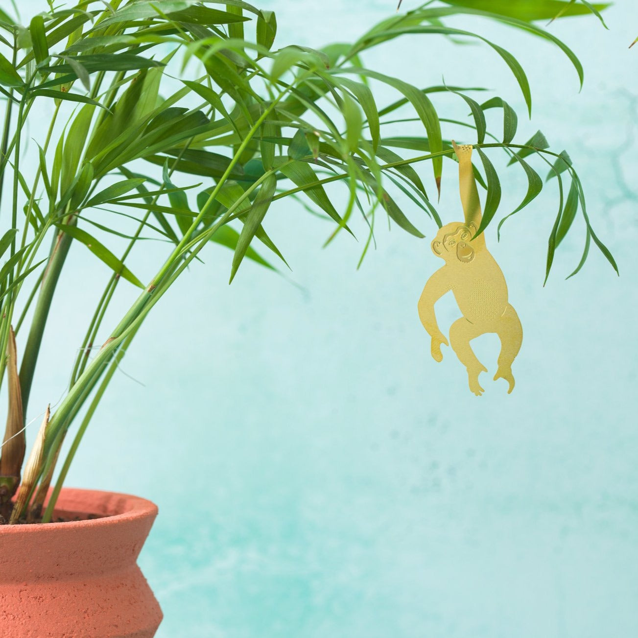Plant Animal Chimpanzee - ad&i