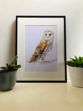 Load image into Gallery viewer, Barn Owl A4 Digital Print by Abby Cook - ad&amp;i