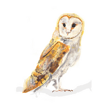 Load image into Gallery viewer, Barn Owl A4 Digital Print by Abby Cook - ad&amp;i