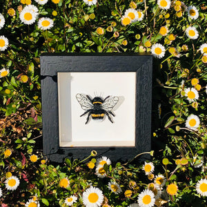 Embroidered and Painted Bumble Bee Framed Wall Art - ad&i