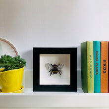Load image into Gallery viewer, Embroidered and Painted Bumble Bee Framed Wall Art - ad&amp;i
