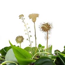 Load image into Gallery viewer, Brass Wildflowers - ad&amp;i