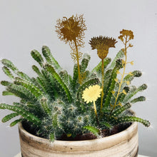 Load image into Gallery viewer, Brass Wildflowers - ad&amp;i