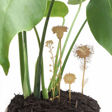 Load image into Gallery viewer, Brass Wildflowers - ad&amp;i