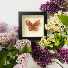 Load image into Gallery viewer, Embroidered and Painted Peacock Butterfly Framed Wall Art - ad&amp;i
