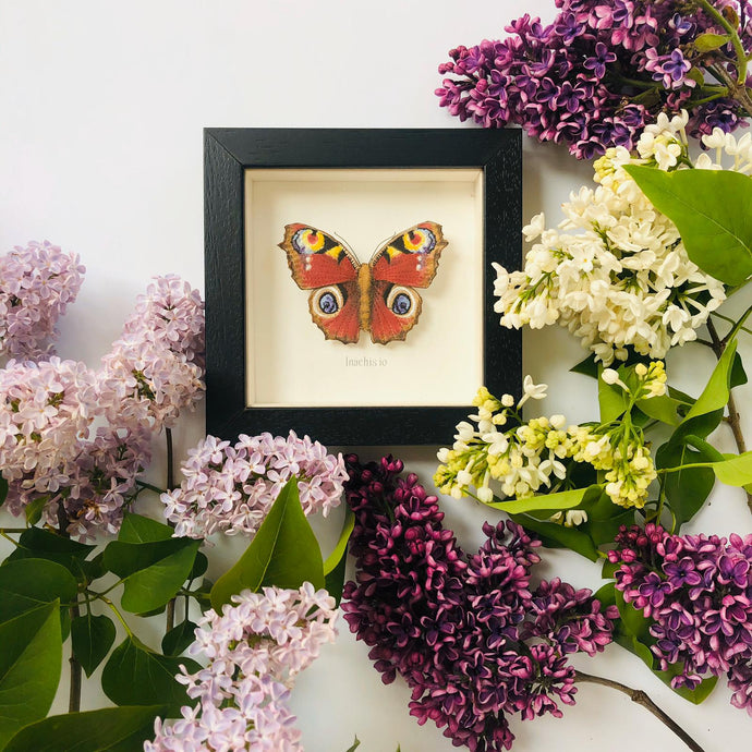 Embroidered and Painted Peacock Butterfly Framed Wall Art - ad&i