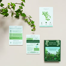 Load image into Gallery viewer, House Plant Care Cards - ad&amp;i